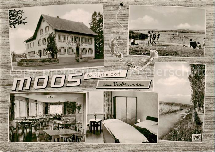 Moos Bodensee Gasthaus zum gruenen Baum Strand Gaststube Zimmer