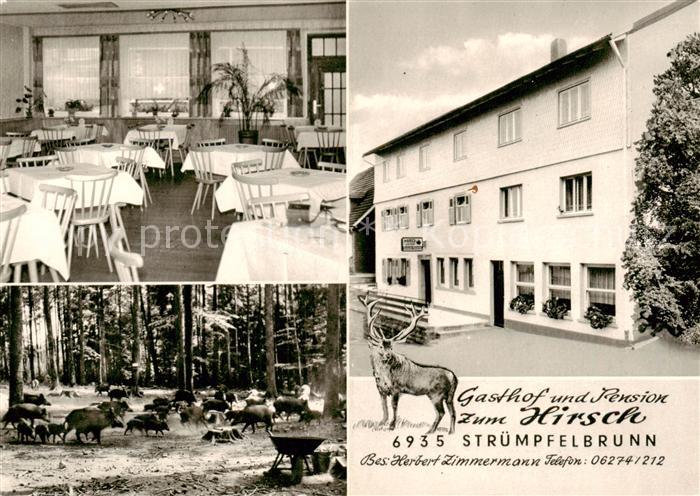 Struempfelbrunn Gasthof Pension Zum Hirsch Gaststube Wildschweinrudel