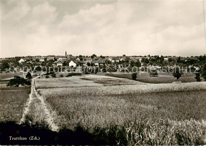 Truttikon ZH Panorama