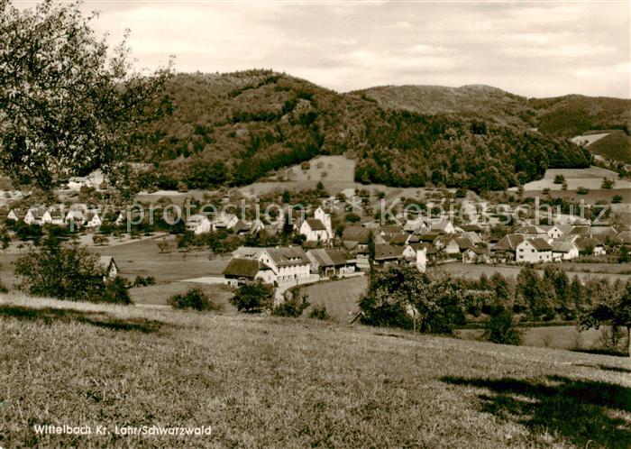 Wittelbach Panorama Ort im Schwarzwald