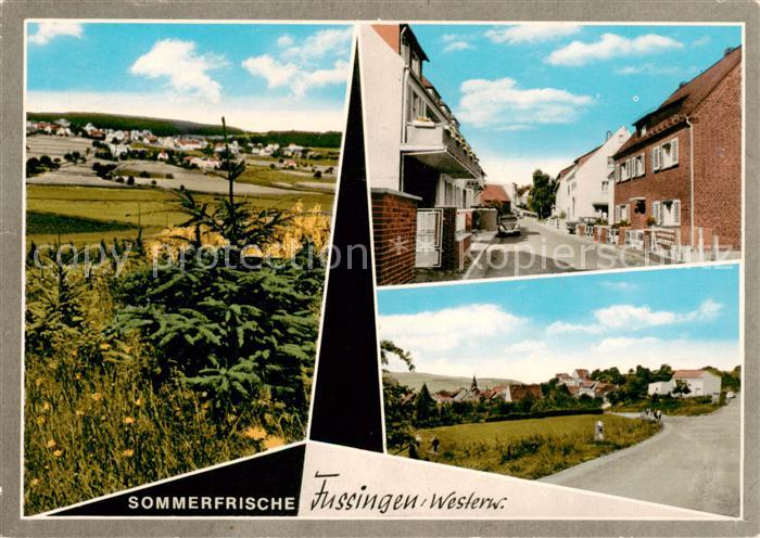 Fussingen Panorama Sommerfrische Ortspartien Luftkurort