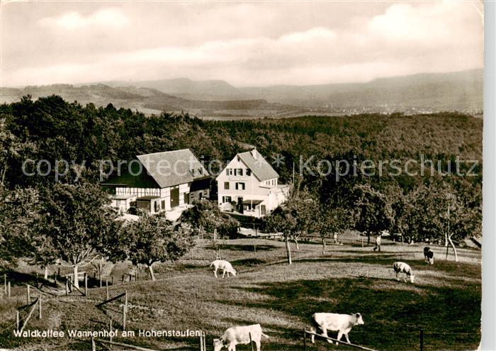 Hohenstaufen Wald-Kaffee Wannenhof am Hohenstaufen Viehweide Panorama