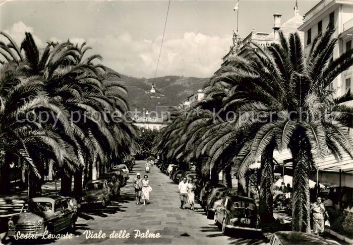 Sestri Levante IT Viale delle Palme