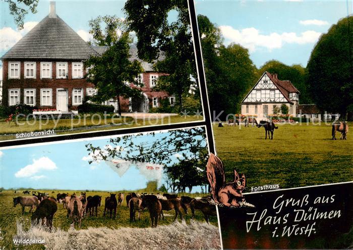 Hausduelmen Schloss Forsthaus Wildpferde