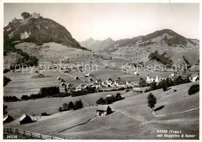 Stein Toggenburg SG Panorama mit Goggeien und Speer