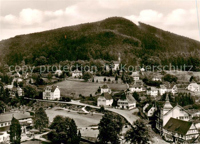 Bad Herrenalb Panorama Blick zum Mayenberg