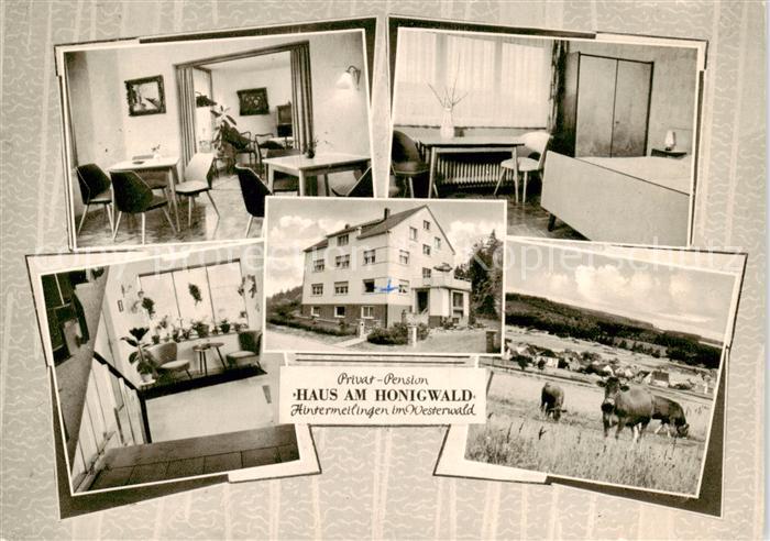 Hintermeilingen Waldbrunn Pension Haus am Honigwald Gaestezimmer Panorama Viehwe