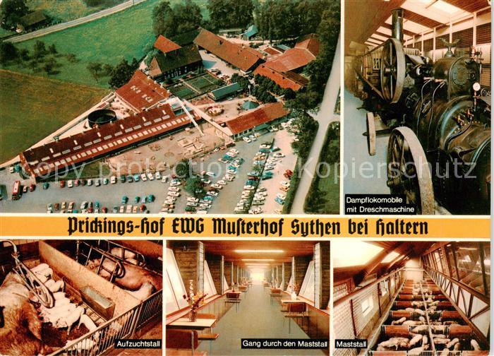 Sythen Haltern Prickings-Hof EWG Musterhof Luftbild Dampflokomotive Stall