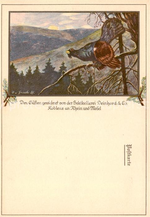 Koblenz  Rhein Landschaftspanorama Auerhahn Kuenstlerkarte Sektkellerei Deinhard