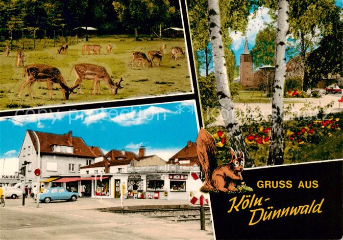 Duennwald Wildgehege Blick zur Kirche Ortszentrum Eichhoernchen