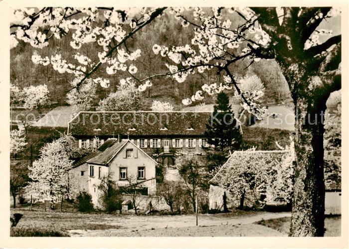 Edenkoben Weinstrasse Rheinland-Pfalz Ausflugsgaststaette Buschmuehle im Modenba