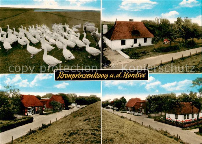 Kronprinzenkoog Gaense Wohnhaeuser