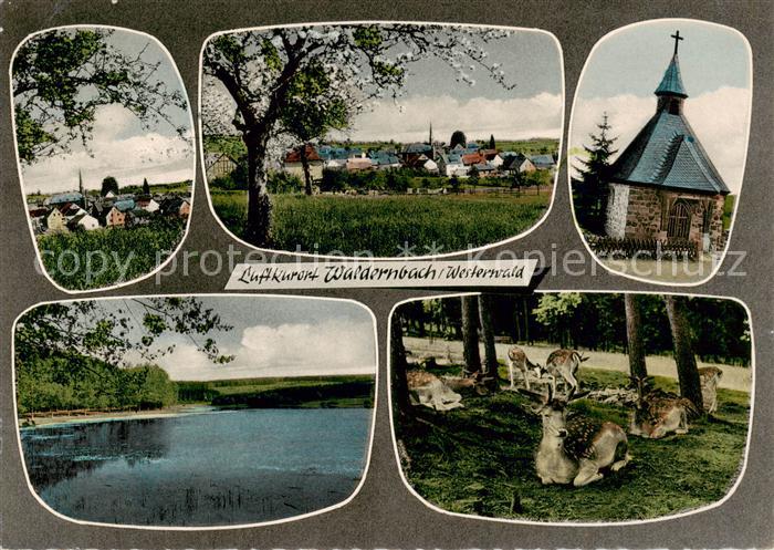 Waldernbach Teilansichten Kapelle See Wild