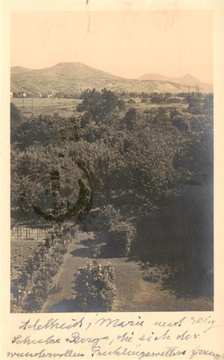 Bonn Rhein Landschaftspanorama