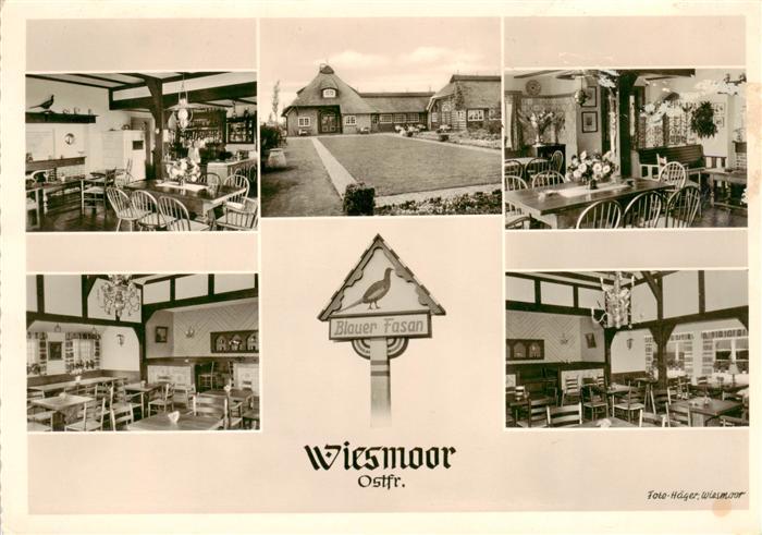 Wiesmoor Gasttaette Blauer Fasan Restaurant