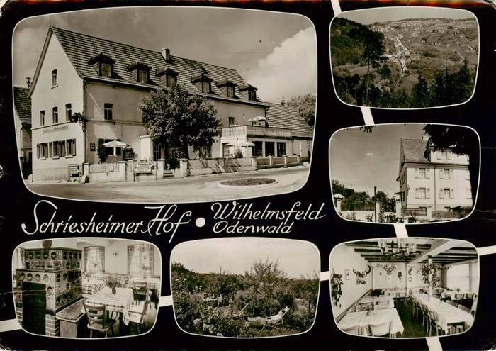 Wilhelmsfeld Gasthaus Pension Schriesheimer Hof Restaurant Panorama Bromsilber