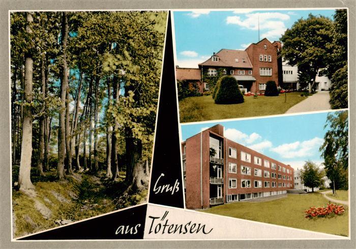 Toetensen Waldpartie Ortsmotive