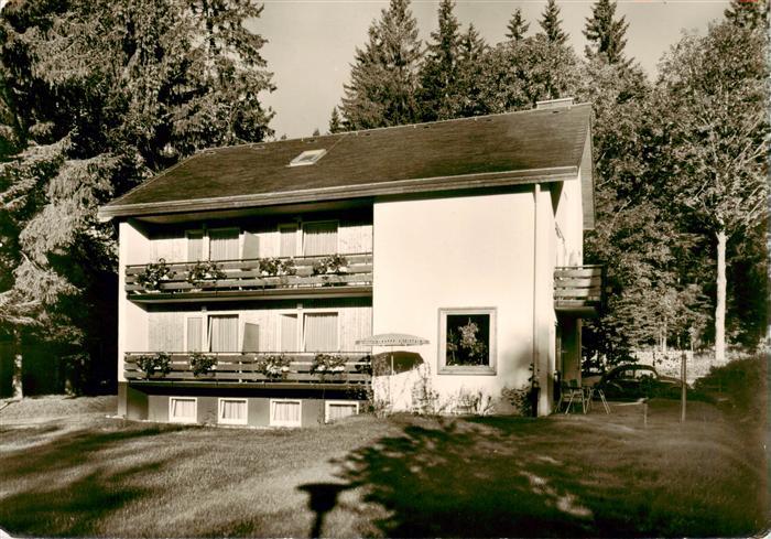 Hinterzarten Breisgau-Hochschwarzwald BW Gaestehaus Pension Waldeck im Schwarzwa