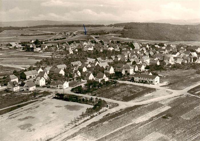 Presberg Rheingau Ruedesheim Fliegeraufnahme