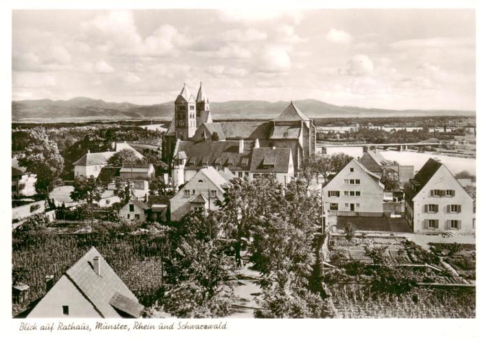 Breisach Rhein Blick auf Rathaus Muenster Rhein und Schwarzwald