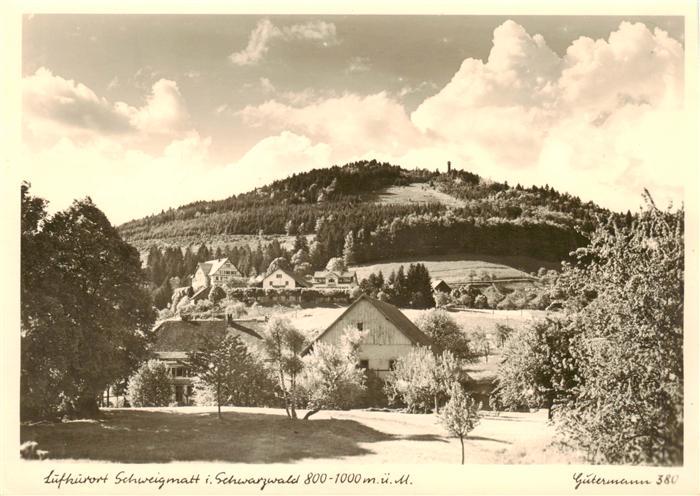 Schweigmatt Schopfheim Panorama