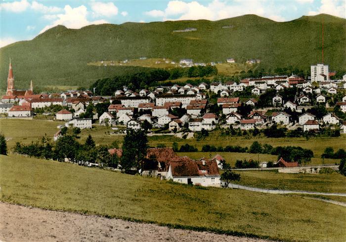 Zwiesel Niederbayern Panorama