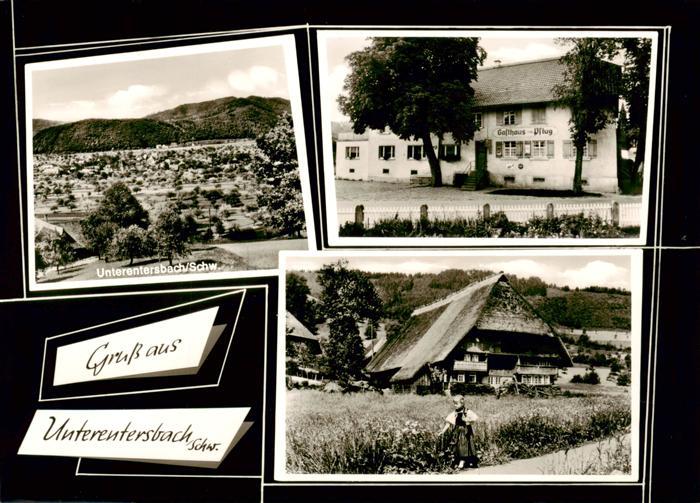 Unterentersbach Zell am Harmersbach Panorama Bauernhof Gasthaus zum Pflug