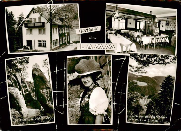 Schwanenbachtal Hornberg Schwarzwald Gasthaus zum Lamm Gastraum Felspartie in Ig