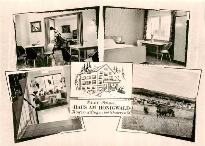 Hintermeilingen Waldbrunn Pension Haus am Honigwald Gastraeume Panorama