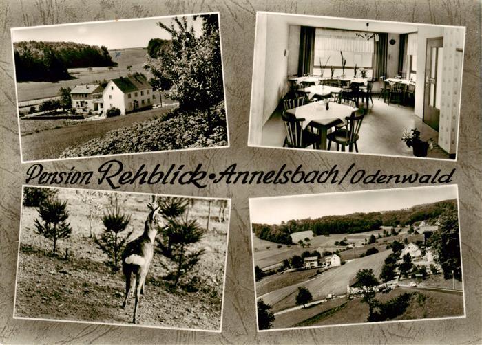 Annelsbach Hoechst  Odenwald Pension Rehblick Gaststube Panorama Reh