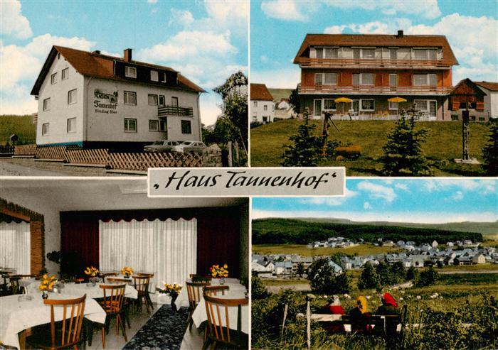 Hintermeilingen Waldbrunn Haus Tannenhof Gaststube Panorama
