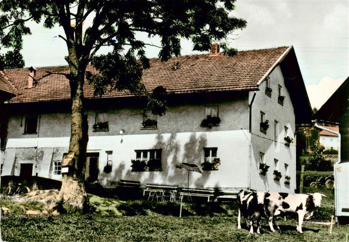 Asbach  Drachselsried Bayerischer Wald Pension Alois Fritz