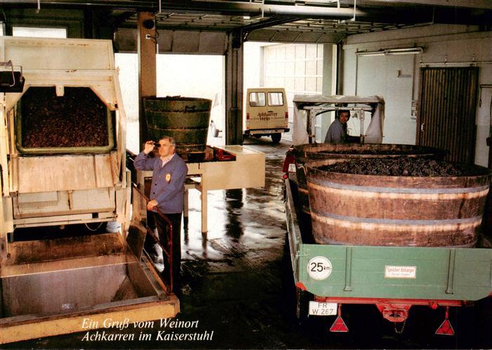 Achkarren Winzergenossenschaft Achkarren am Kaiserstuhl Traubenanlieferung