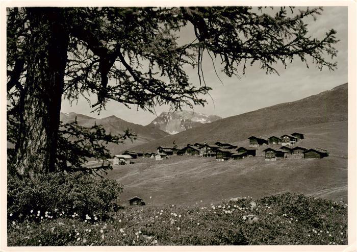 Medergen Arosa GR Panorama