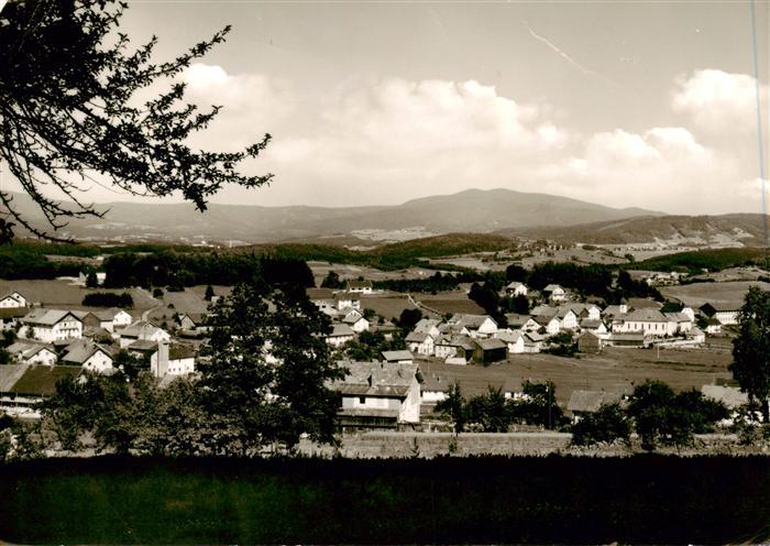 Langdorf Regen Panorama