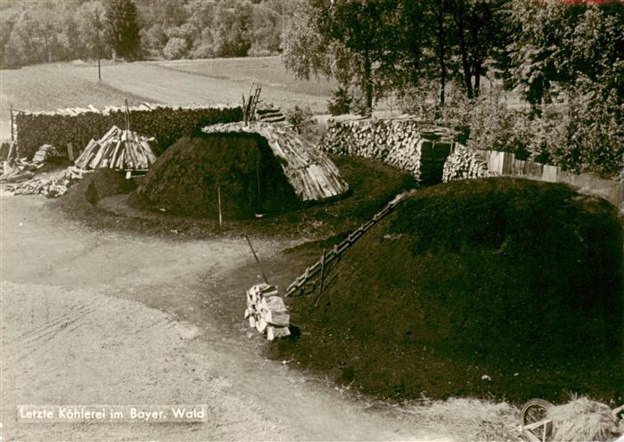 Zwieselau Zwiesel Letzte Koehlerei im Bayerischen Wald