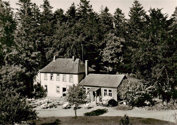 Vielbrunn Hainhaus im Odenwald Wahrzeichen des Odenwaldes altes Roemerkastell Wa