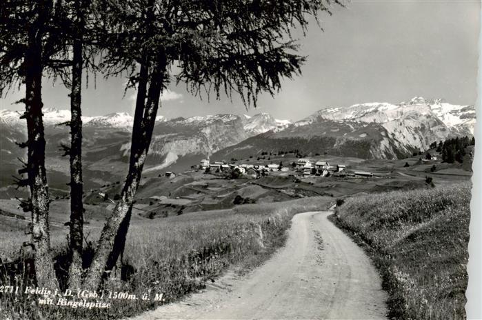 Feldis GR Panorama Blick gegen Ringelspitze