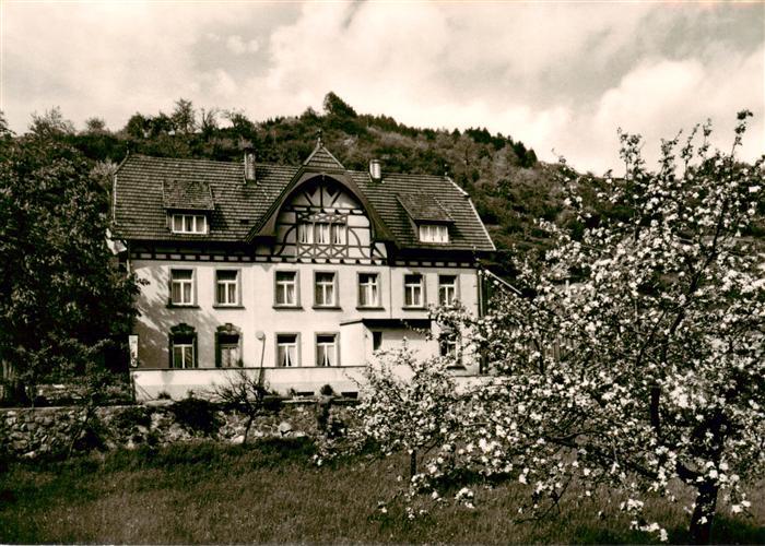 Haslach Kinzigtal Gasthaus Pension zur Arche Baumbluete