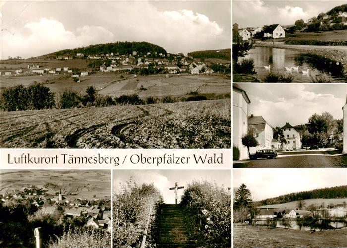 Taennesberg Panorama Luftkurort im Oberpfaelzer Wald Teilansichten