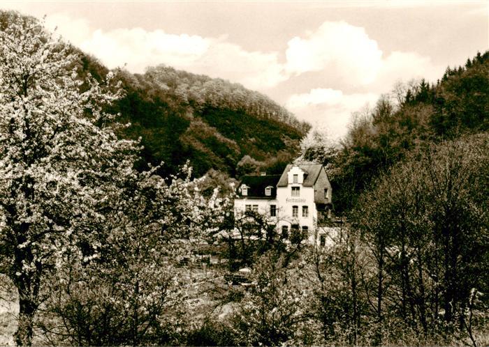 Braubach Rhein Waldgaststaette Pension Forstmuehle Baumbluete
