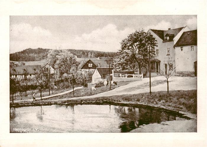 Helmsgruen Gasthof Teich