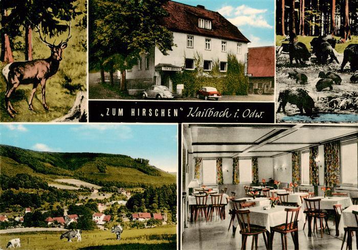 Kailbach Gasthaus Pension zum Hirschen Landschaftspanorama Viehweide Wildschwein