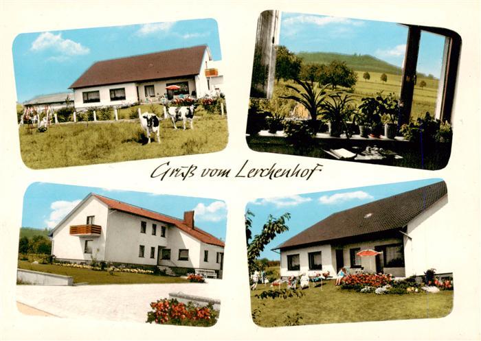 Holzhausen Luebbecke Pension Lerchenhof