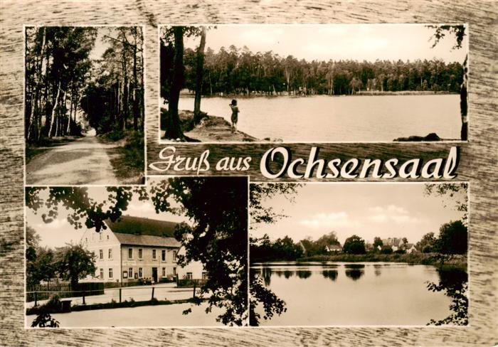 Ochsensaal Dahlen Sachsen Gasthof Froehlich Waldweg Seepartien