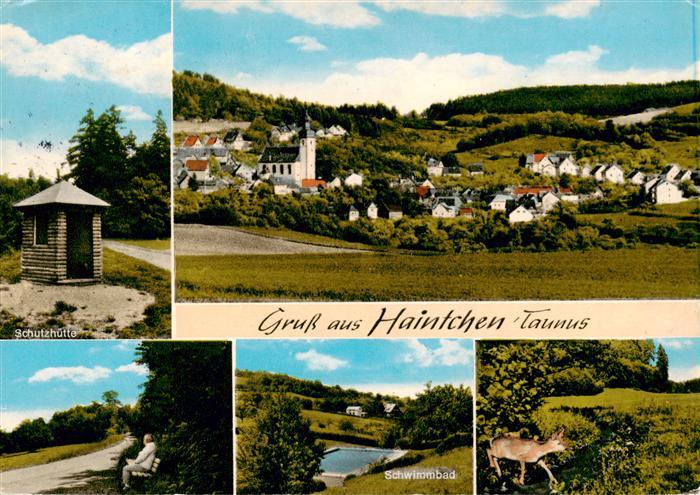 Haintchen Selters Taunus Schutzhuette Panorama park Schwimmbad