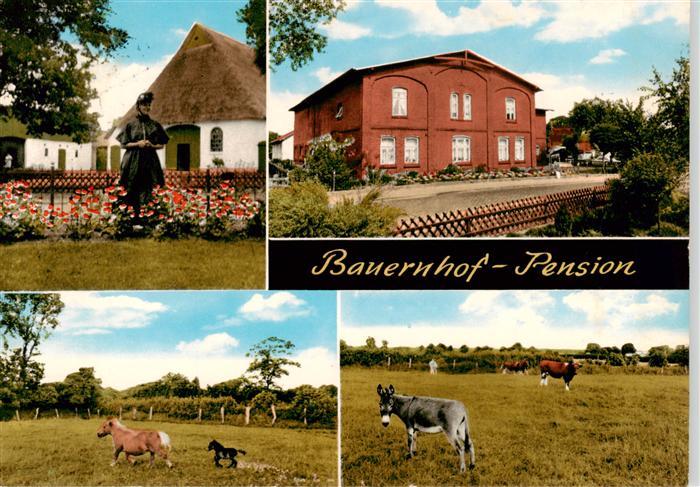 Huje Itzehohe Bauernhof Pension Pferde Esel Kuehe