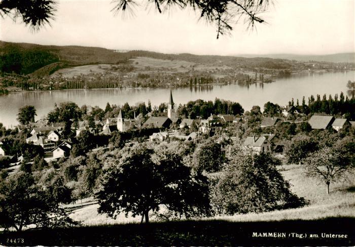Mammern am Untersee Panorama