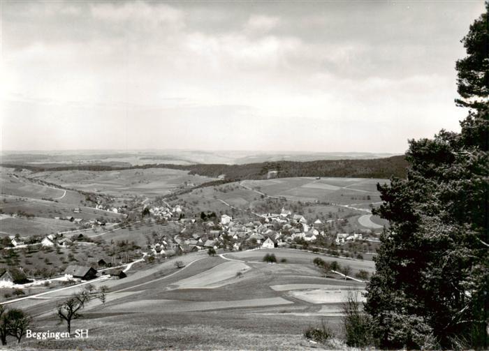 Beggingen SH Panorama