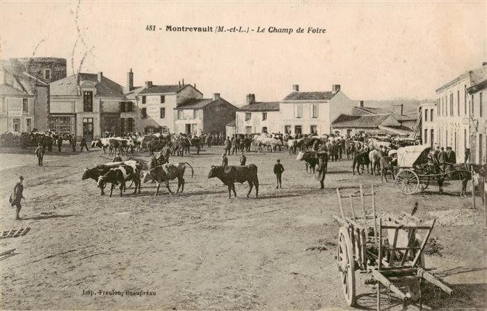 Montrevault 49 Maine-et-Loire Le Champ de Foire